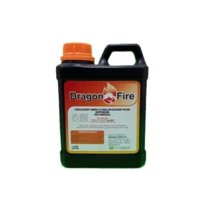Dragon Fire